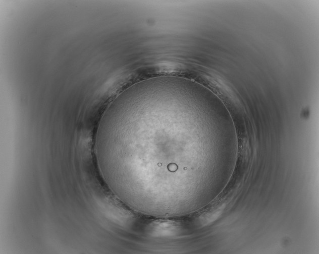 X0000092020557200709131559