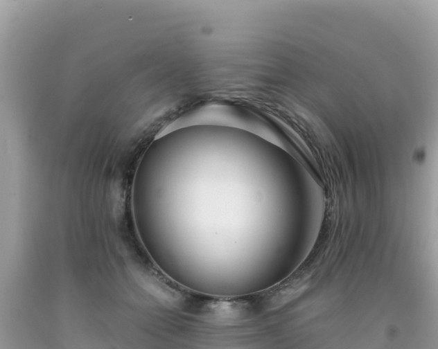 X0000092020558200709131559