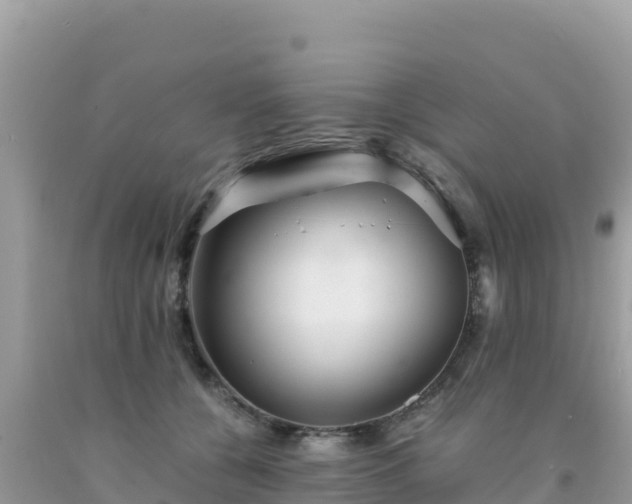 X0000092020560200709131559