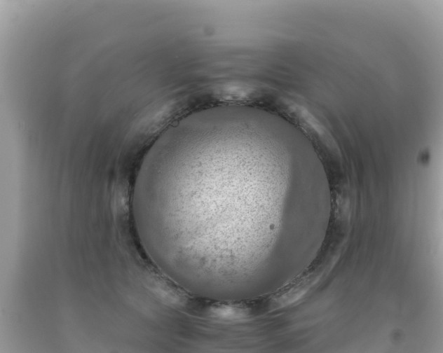 X0000092020561200709131559