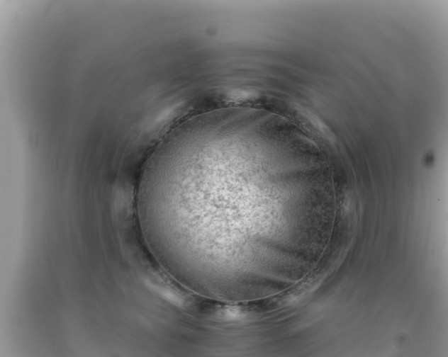 X0000092020565200709131559