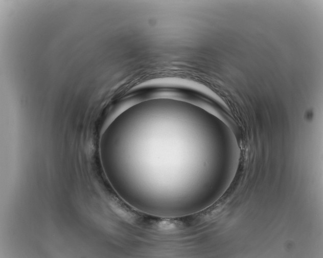 X0000092020566200709131559