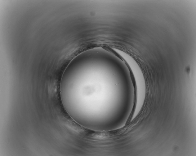 X0000092020567200709131559