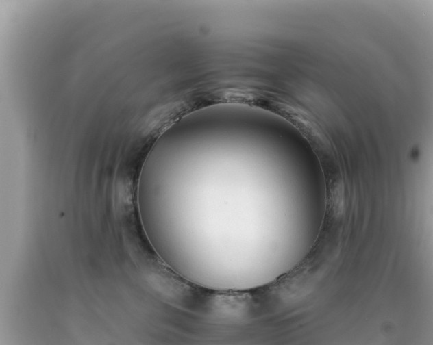 X0000092020571200709131559