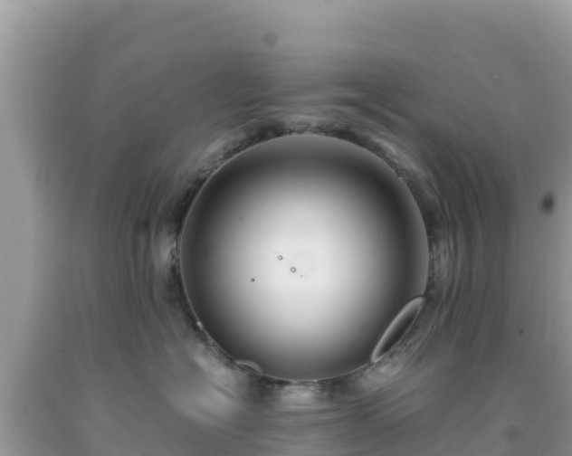 X0000092020574200709131559