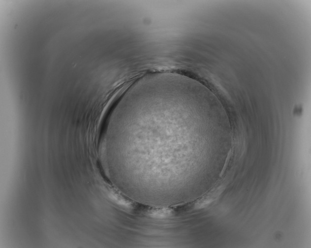 X0000092020576200709131559