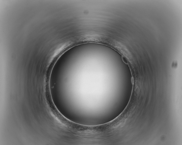 X0000092020578200709131558