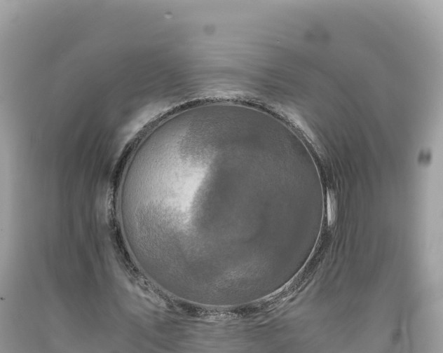 X0000092020579200709131558
