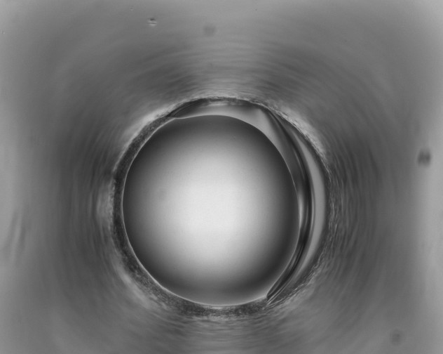 X0000092020580200709131558