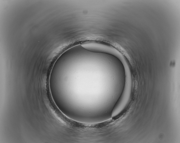 X0000092020581200709131558