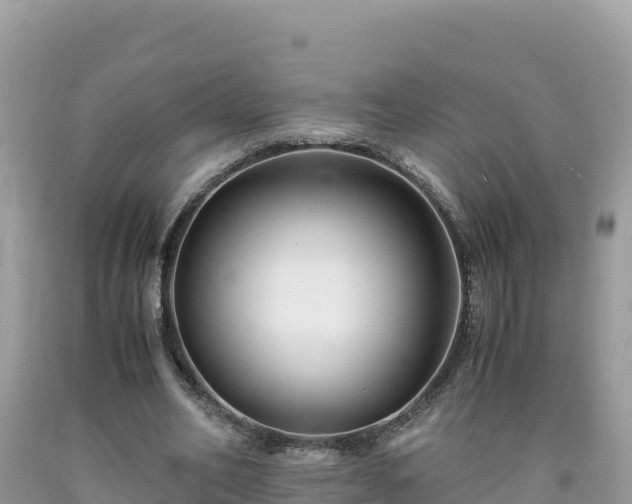 X0000092020582200709131558