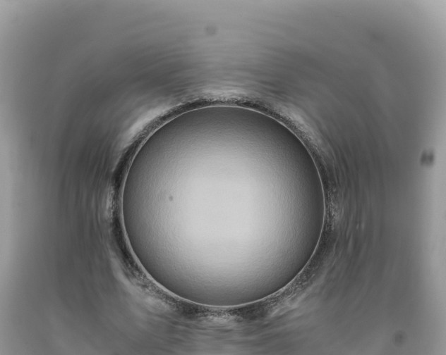 X0000092020583200709131558