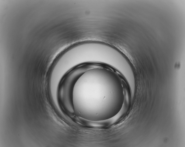 X0000092020584200709131558