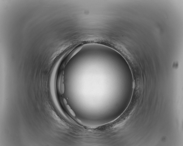 X0000092020585200709131558