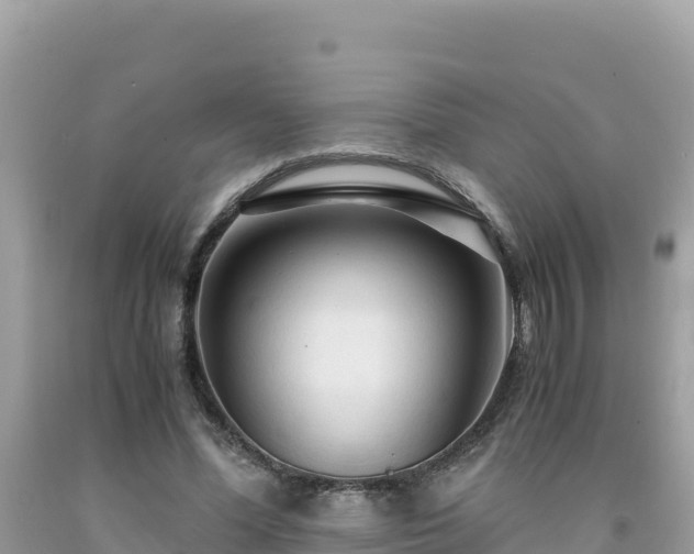 X0000092020588200709131558