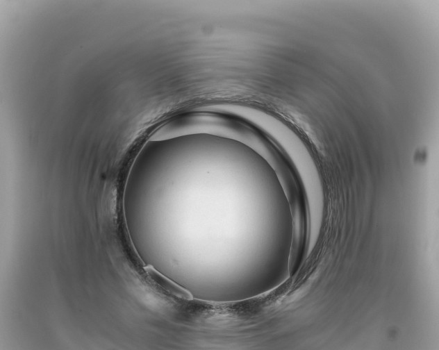X0000092020589200709131558