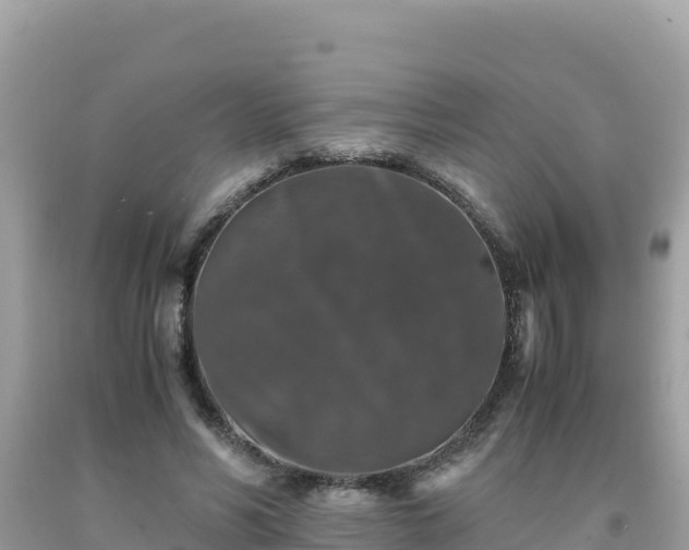 X0000092020590200709131558