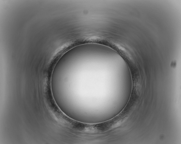 X0000092020591200709131558
