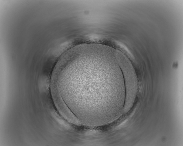 X0000092020593200709131558