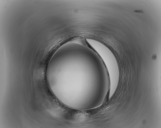 X0000092020595200709131558