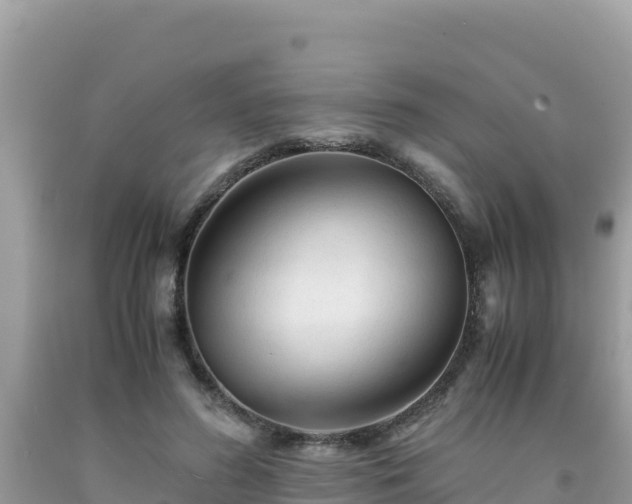 X0000092020596200709131558