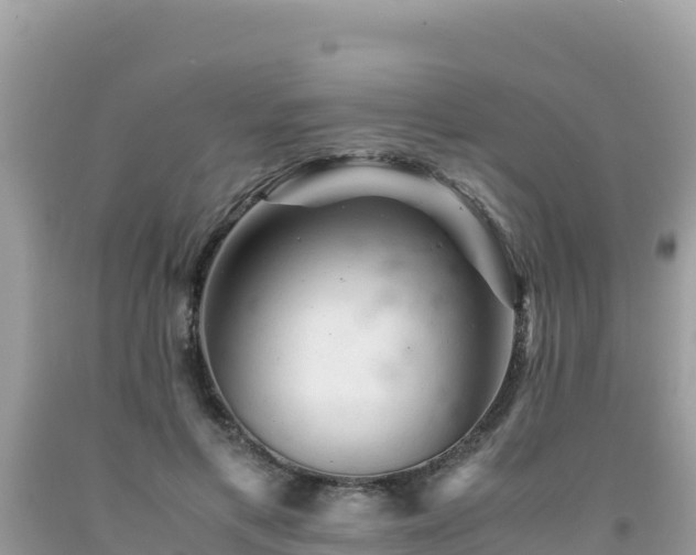 X0000092020597200709131558