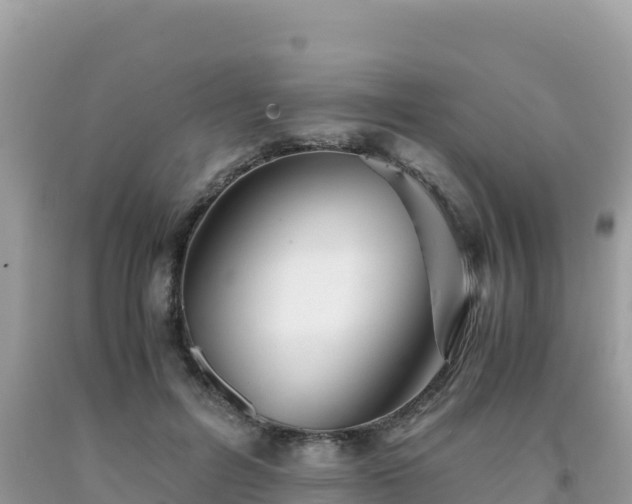 X0000092020600200709131558