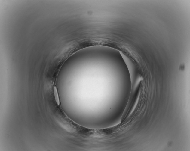 X0000092020601200709131558