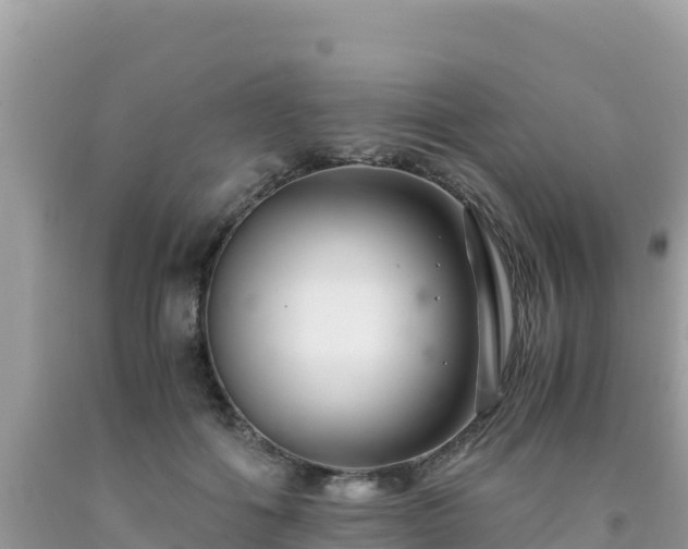 X0000092020602200709131558
