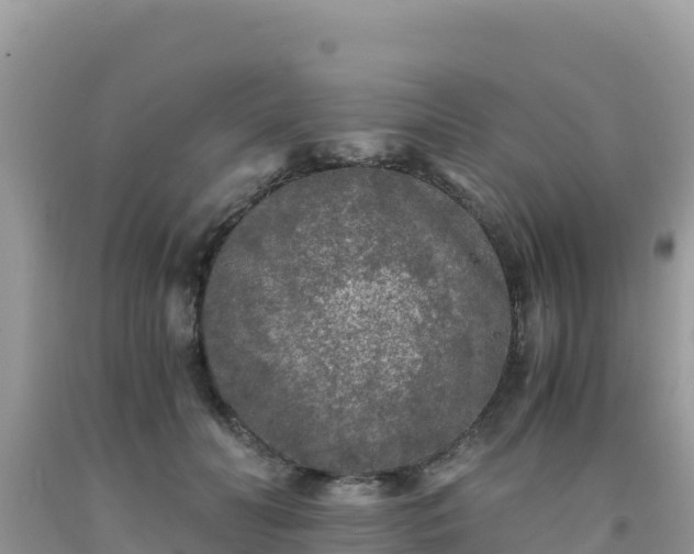 X0000092020606200709131558