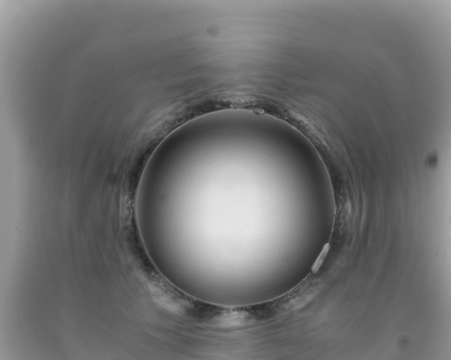X0000092020609200709131558