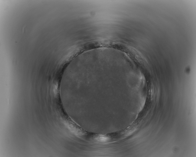 X0000092020610200709131558