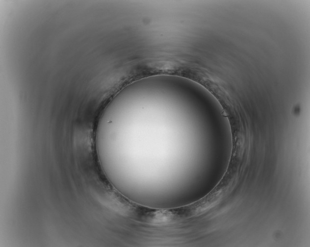 X0000092020612200709131558