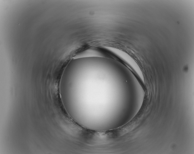 X0000092020613200709131558