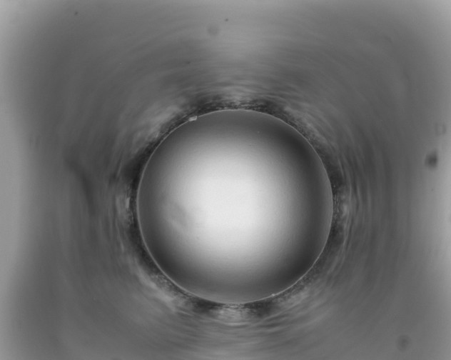 X0000092020615200709131558