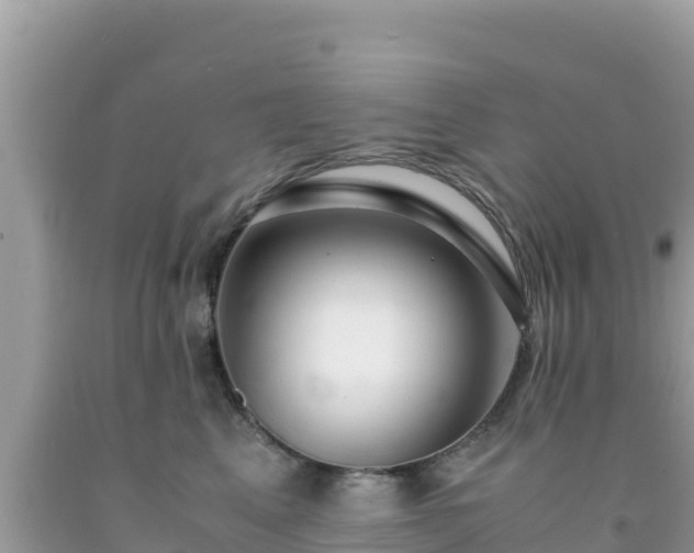 X0000092020617200709131558