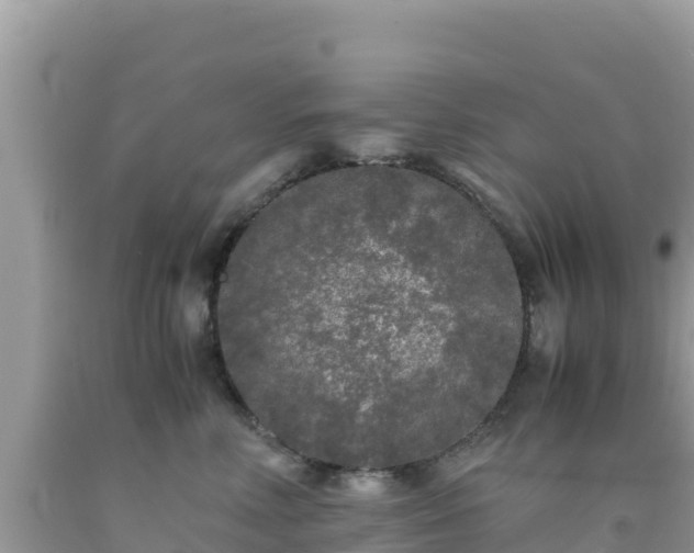 X0000092020618200709131558