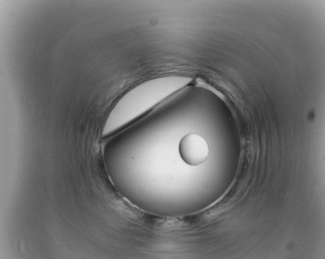 X0000092020621200709131558