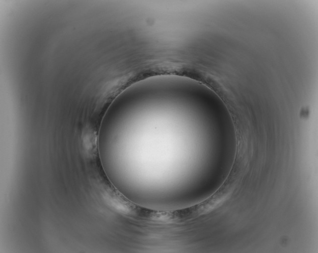 X0000092020624200709131558