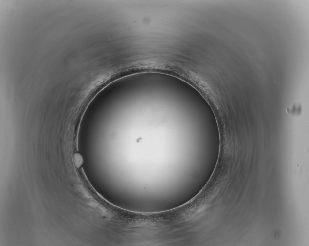 X0000092020625200709131557