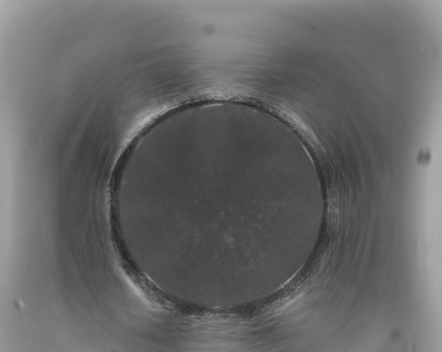 X0000092020626200709131557