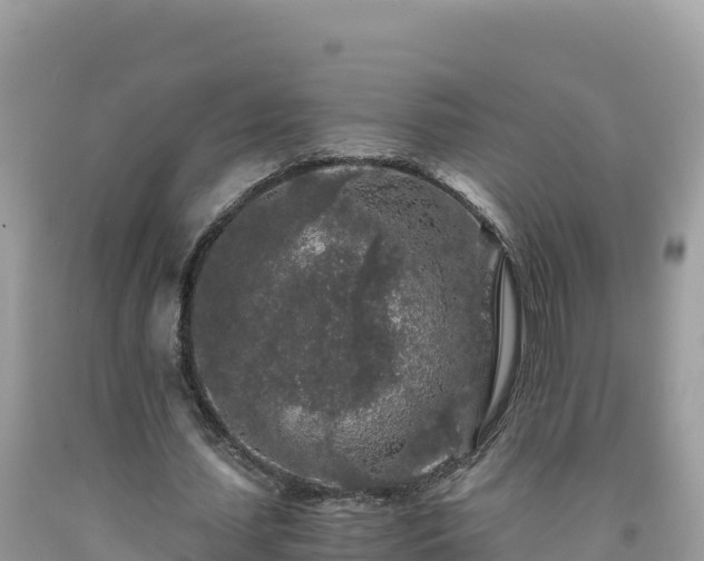 X0000092020627200709131557