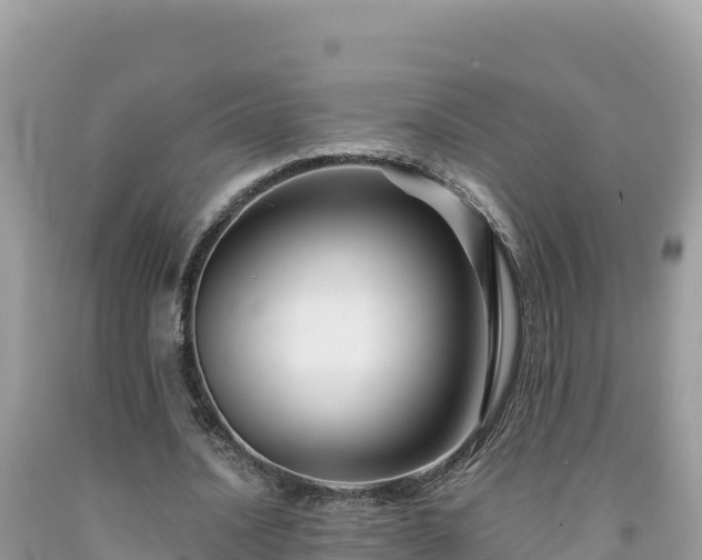 X0000092020628200709131557