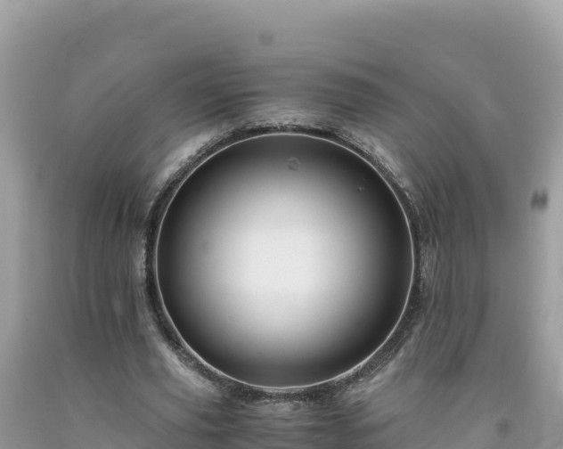 X0000092020629200709131557