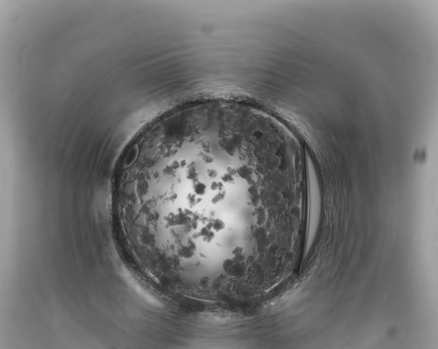 X0000092020630200709131557