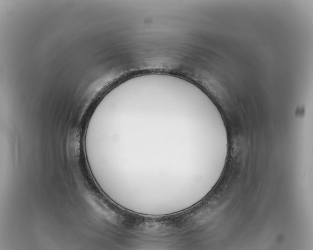 X0000092020632200709131557