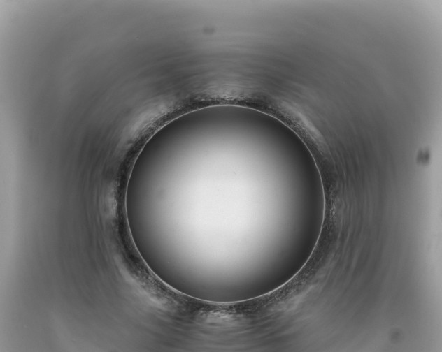 X0000092020635200709131557