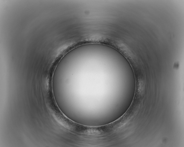 X0000092020636200709131557