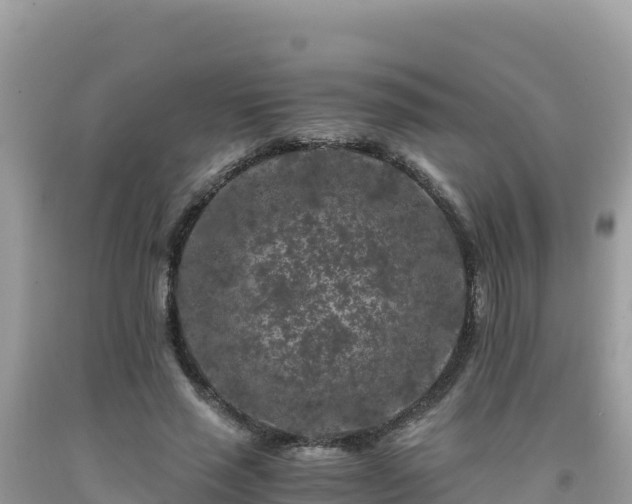 X0000092020637200709131557