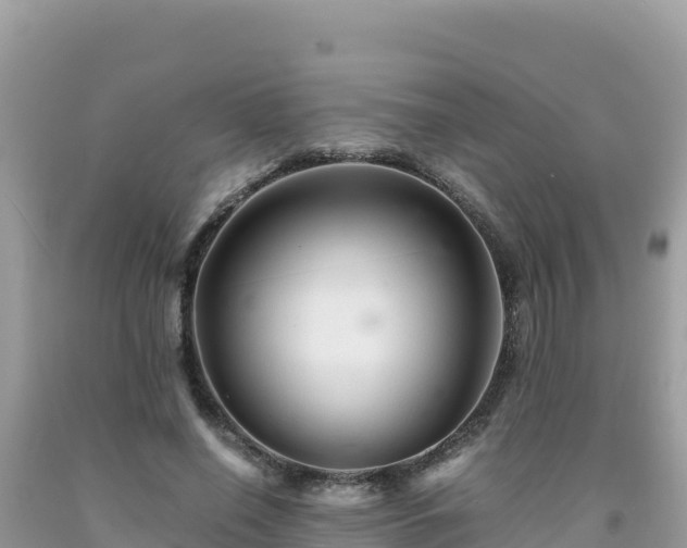 X0000092020638200709131557